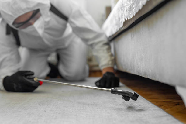 Professional Pest Control technician working in Marion County County, SC